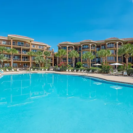 Mediterranea 512D By Newman-Dailey